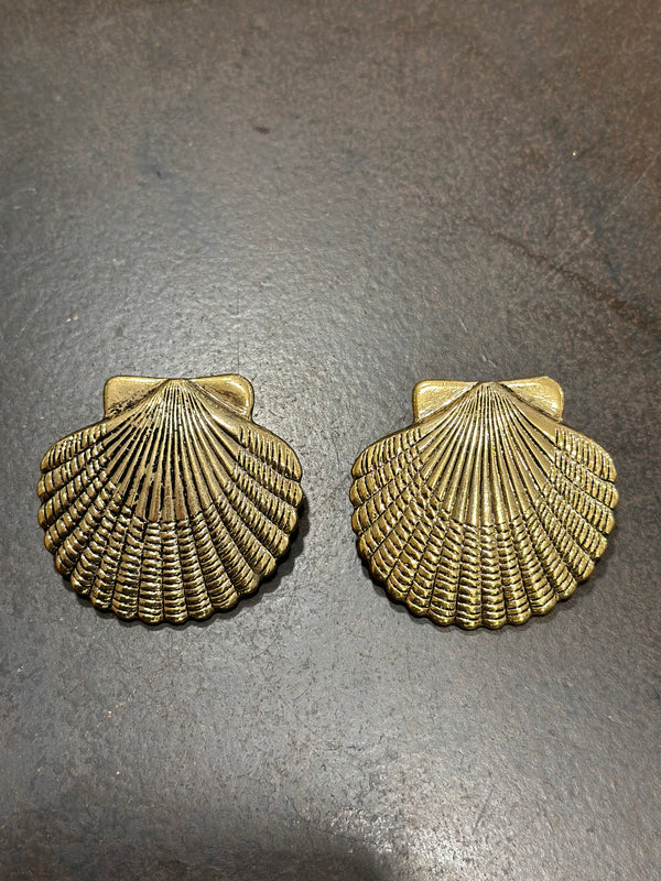 Earrrings shells